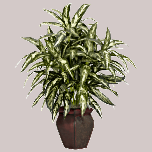 Artificial aglaonema aka the Chinese Evergreen in a decorative vase 