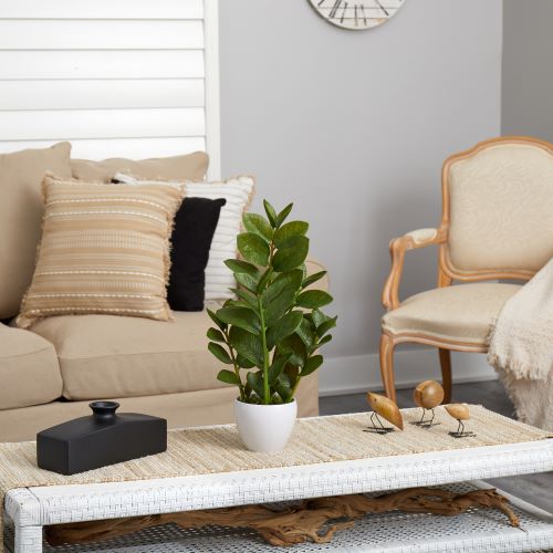 Zanzibar Gem plant on coffee table in living room with chair and sofa in neutral colors