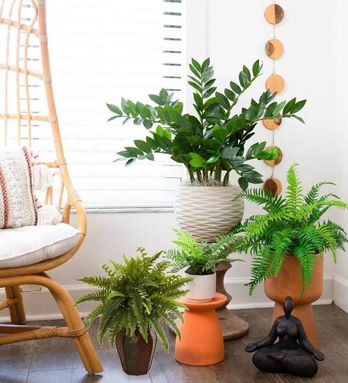 Artificial Boston fern in a decorative planter set with various house plants