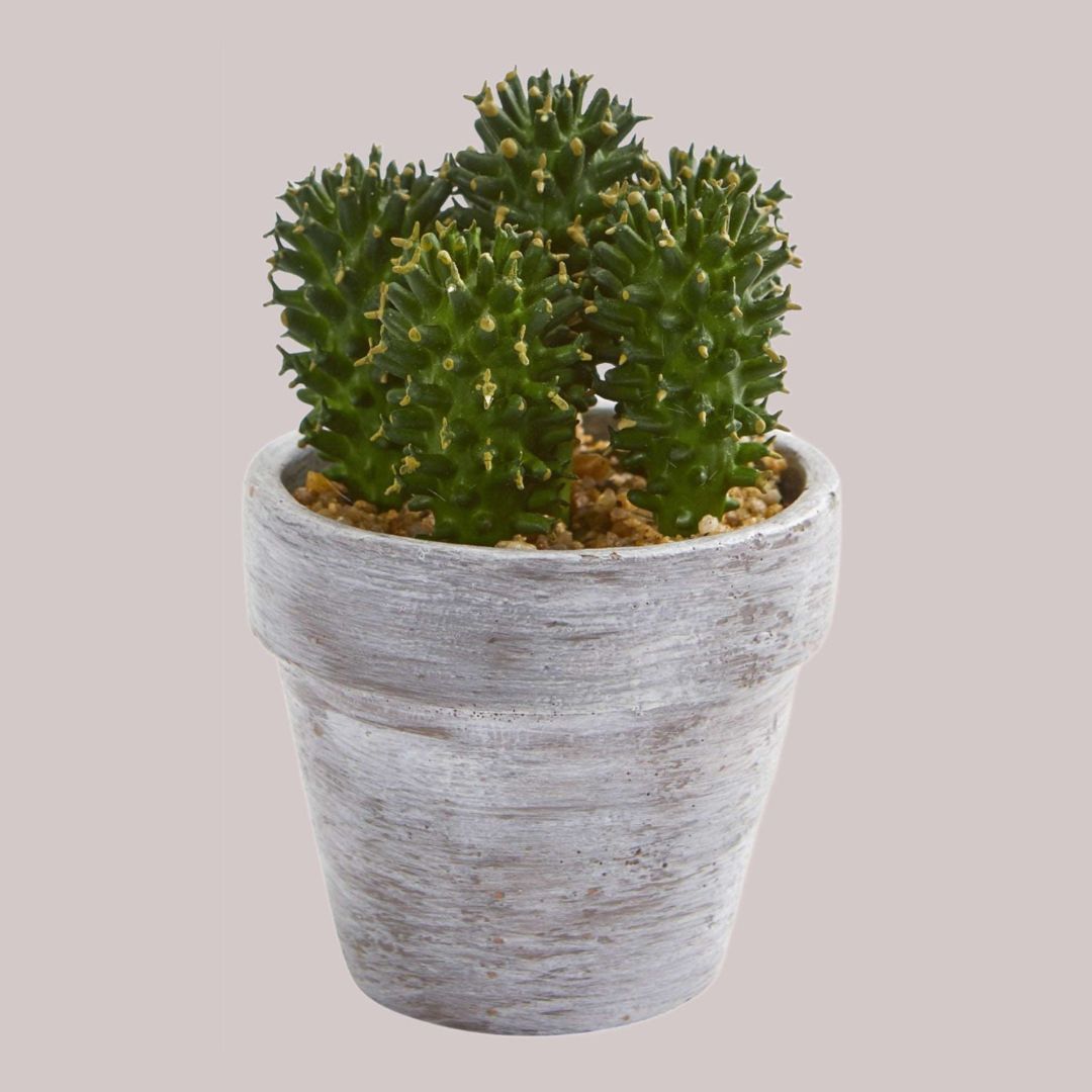 Artificial cactus featuring round limbs in a rustic pot with a combined height of 8 inches