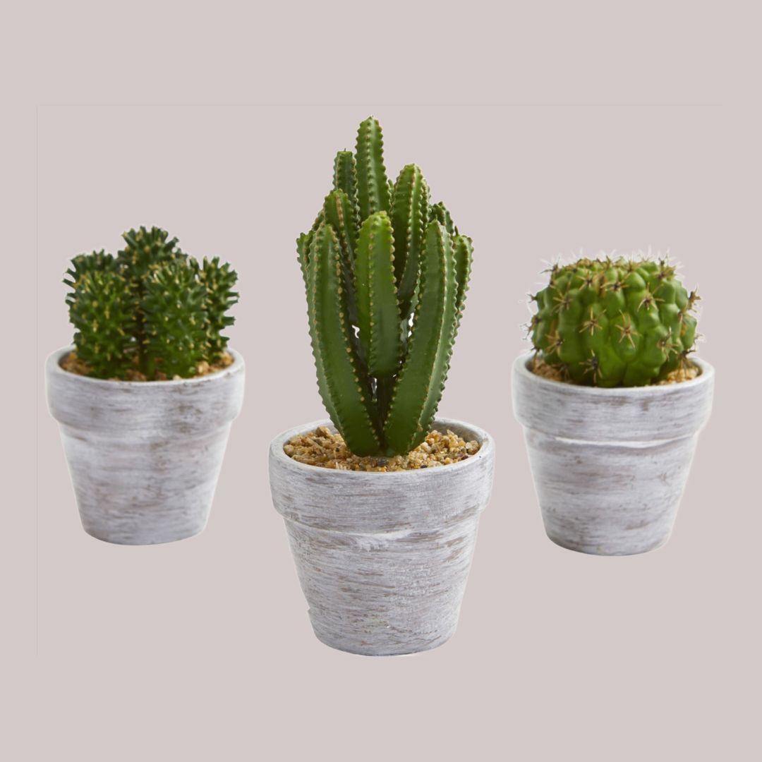 Artificial cactus set of three in rustic style pots with a combined height of 8 inches individually