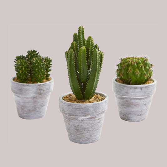 Artificial cactus set of three in rustic style pots with a combined height of 8 inches individually