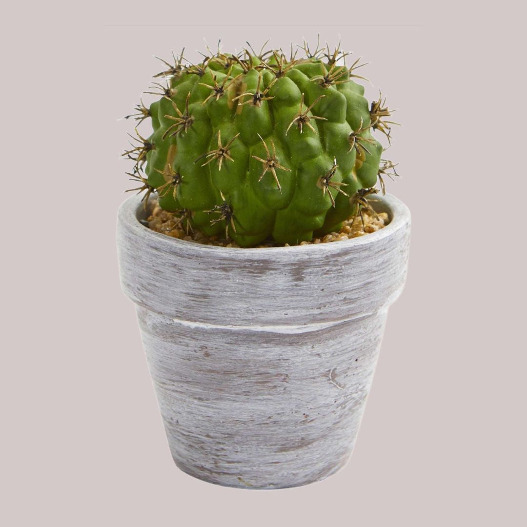 Artificial cactus featuring short limbs shaped like a sphere in a rustic pot with a combined height of 8 inches