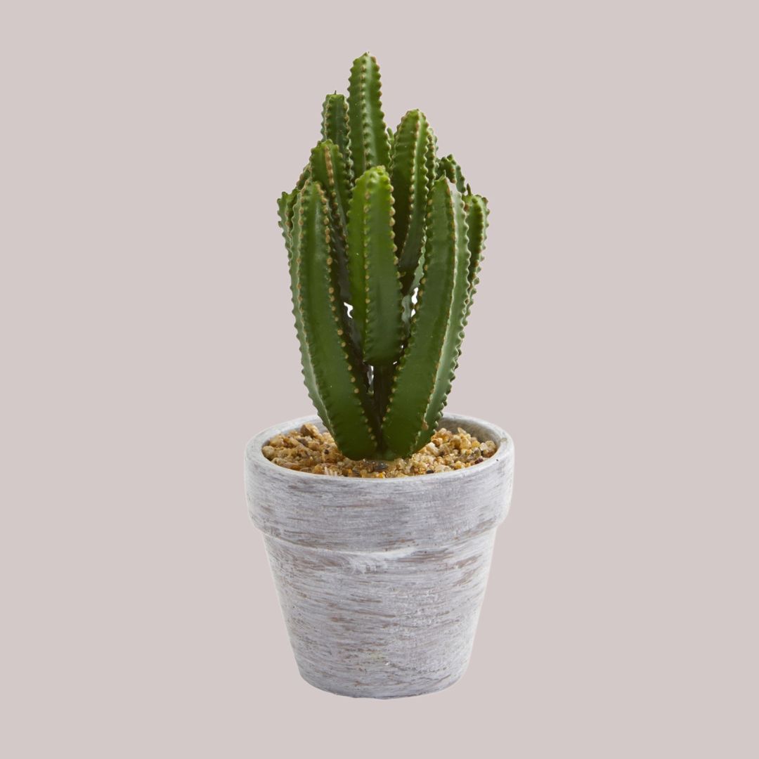 Artificial cactus featuring long tall limbs in a rustic pot with a combined height of 8 inches