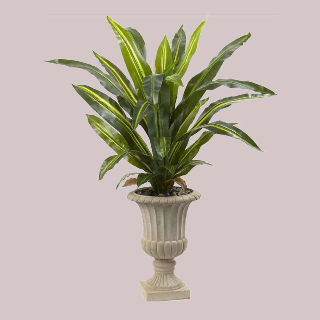 Artificial dracaena plant with real touch in a decorative pot with a combined total height of 5 feet and a half