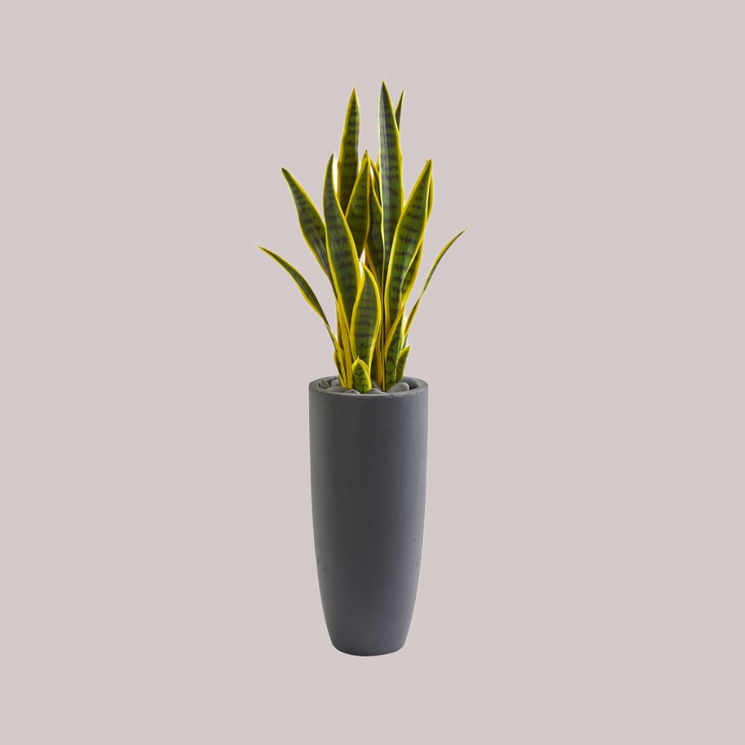 Artificial Snake Plant (Sansevieria trifasciata)