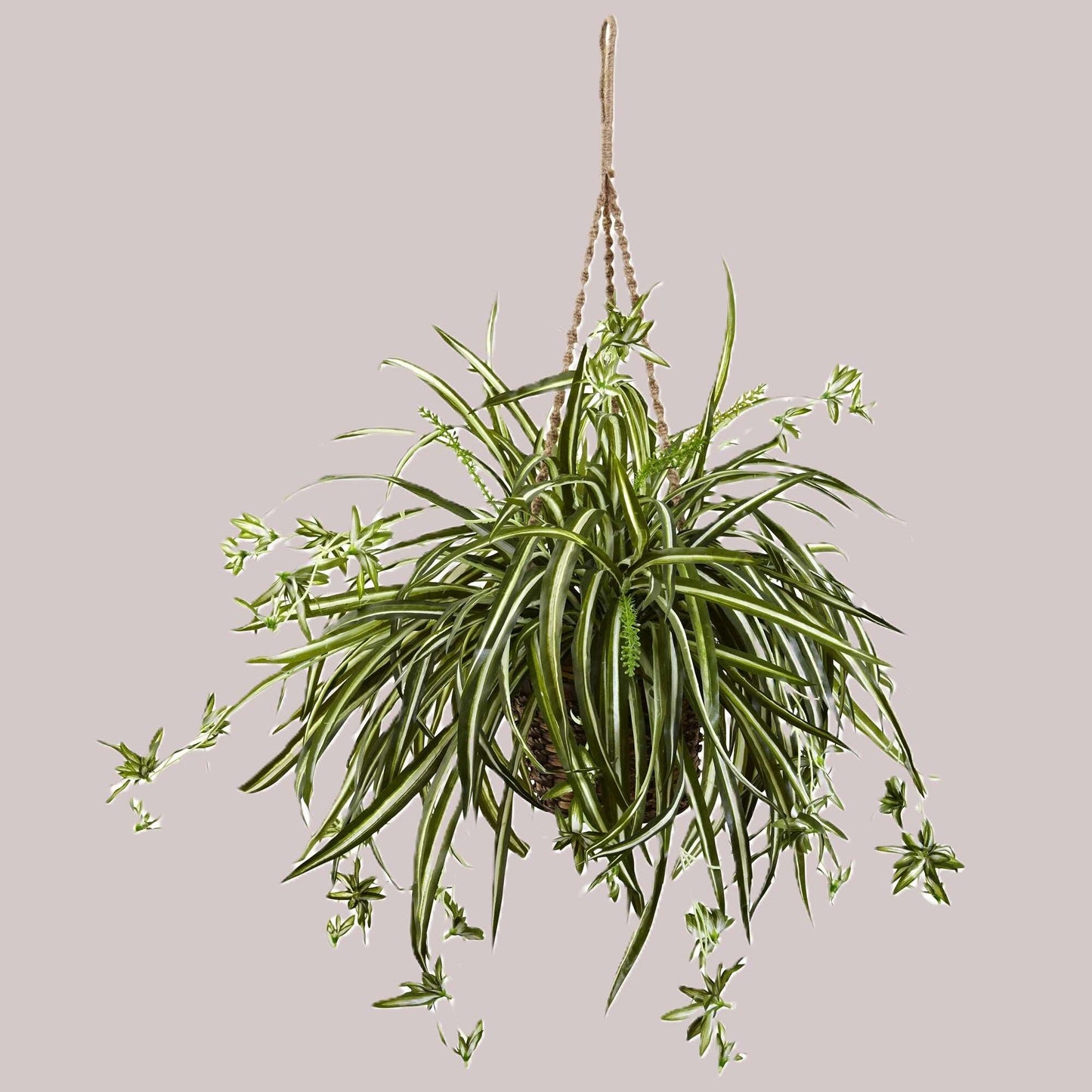 Artificial Spider plant in a hanging basket