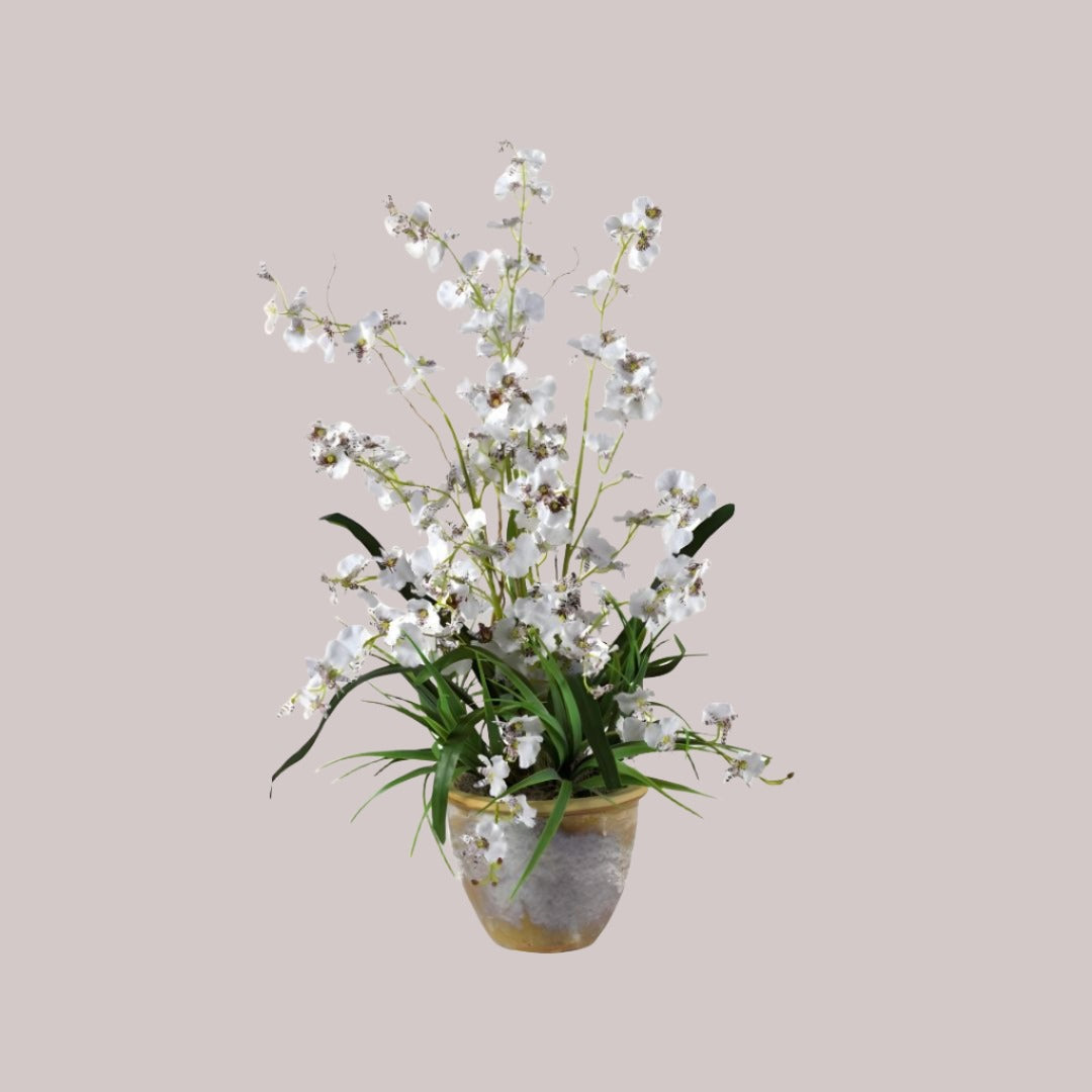 White silk orchids in a ceramic pot styled in a dancing lady arrangement with a combined height of 26 inches