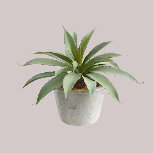 artificial succulent aloe vera plant in rustic pot